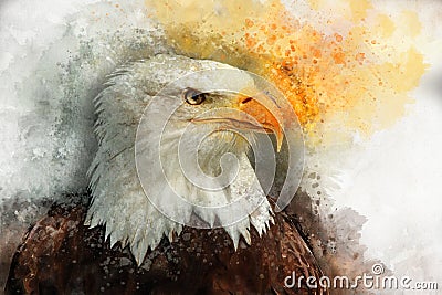 Eagle america bird watercolor painting symbol predator Stock Photo