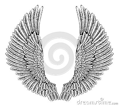 Eagle or angel wings Vector Illustration