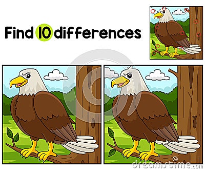 Eagle Animal Find The Differences Vector Illustration