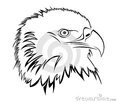 Eagle Stock Photo