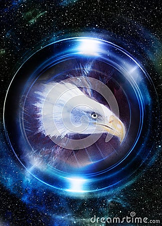 Eagle in cosmic space and light circle. original painting collage. Mirror on the planet Earth. Animal concept, Profile Stock Photo