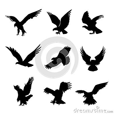 Eagle Falcon Bird Hawk Animal Silhouette Black Icon Flat Design Element Vector Illustration Vector Illustration