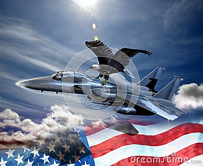 Eagle and fighter Stock Photo