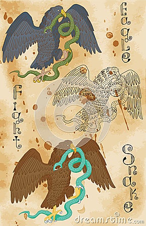 Eagle fighting snake Vector Illustration
