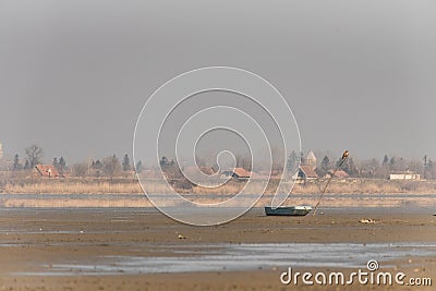 An eagle fisherman flying and searching for his prey, a boat on a dry lake Stock Photo