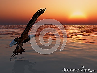 Eagle in Flight Stock Photo