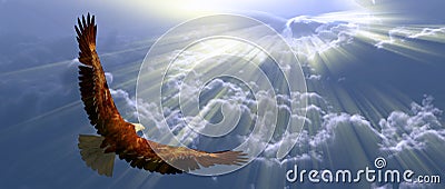 Eagle in flight Stock Photo