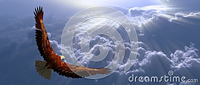 Eagle in flight above tyhe clouds Stock Photo