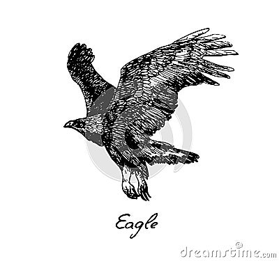 Eagle flying side view, with inscription, hand drawn doodle, sketch in pop art style Vector Illustration