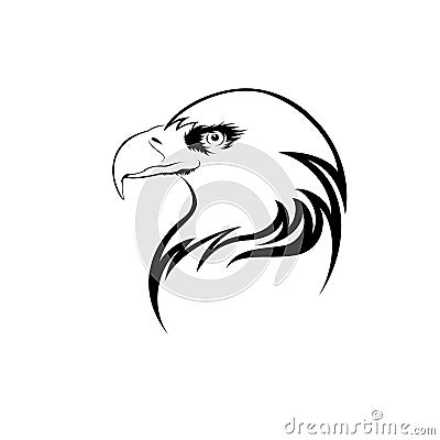 Eagle head Stock Photo