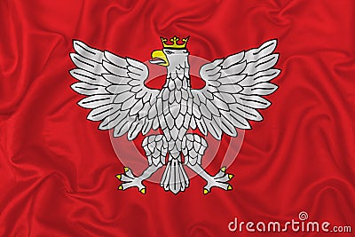 Eagle heraldic design Stock Photo