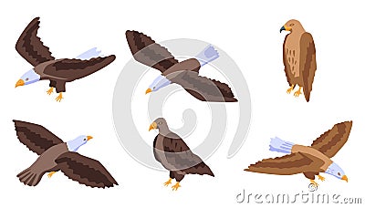 Eagle icons set, isometric style Vector Illustration