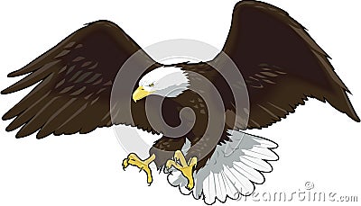 Eagle Landing Vector Illustration Vector Illustration