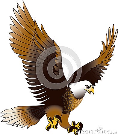 Eagle in Mid Air Stock Photo