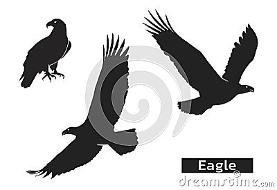 Eagle silhouette set. zoo symbol of strength, highness, element of air. eagle symbol of usa Vector Illustration