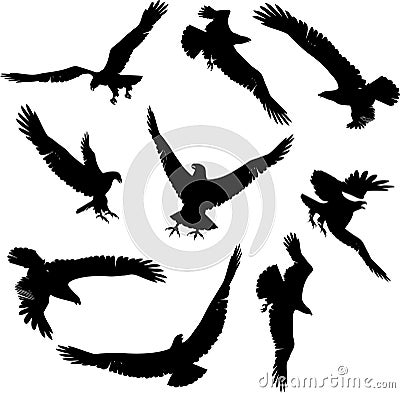 Eagle Silhouettes Vector Illustration