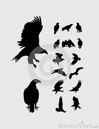 Eagle Silhouettes Collection Vector Illustration