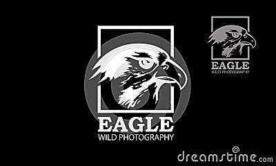 Eagle wild photography Vector Logo Template. Vector Illustration