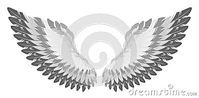 Eagle wing Vector Illustration