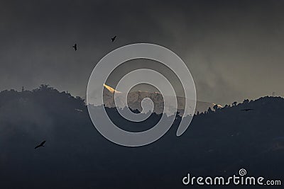 Eagles flying with Himalaya mountains in background. Nepal Stock Photo