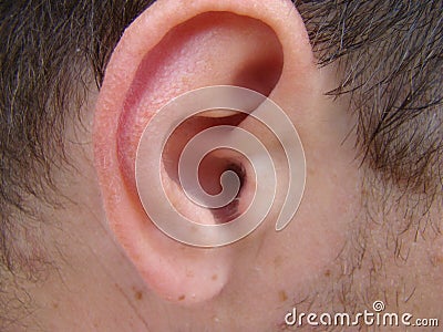 Ear Stock Photo