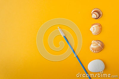 Ear brush with blue stick for professional ear cleaning of dogs and cats. Yellow background with sea shells. Stock Photo