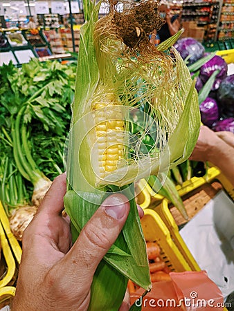 Ear of corn in the hand of the buyer in the store close-up. Stock Photo