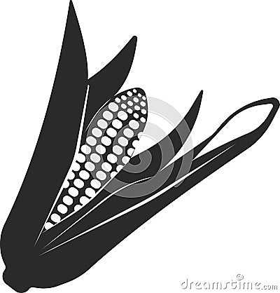 An ear of corn. Organic food, cereals. Vector image. Vector Illustration