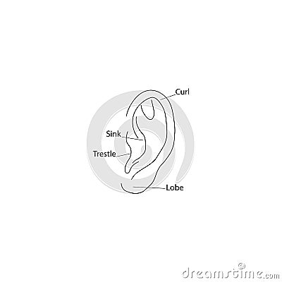 Ear diagram structure icon. Vector illustration eps 10 Cartoon Illustration