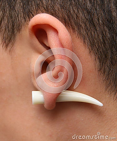 Ear Ring Tusk Stock Photo