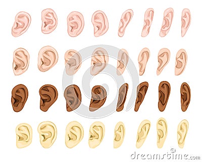 Ear vector human eardrum ear rope hearing sounds listening body part and deafness silence illustration sensory set Vector Illustration