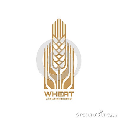 Ear of wheat - vector logo template concept illustration. Cereal organic sign. Ecology nature symbol. Agriculture icon. Vector Illustration