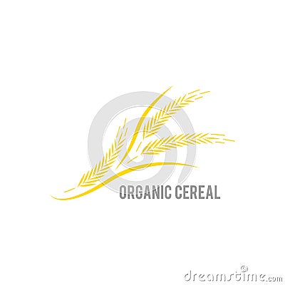Ear of wheat on white background. Organic , agriculture seed, plant and food, natural eat. Stock Photo