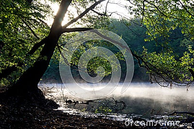 Earlier morning on the river Stock Photo