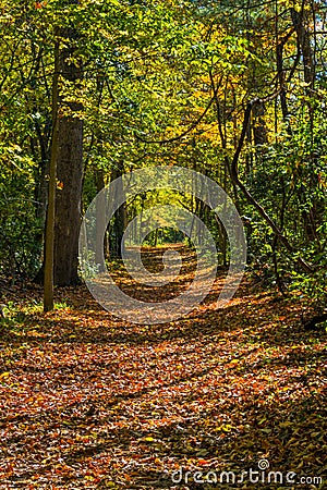 Early Autumn Pathway Stock Photo