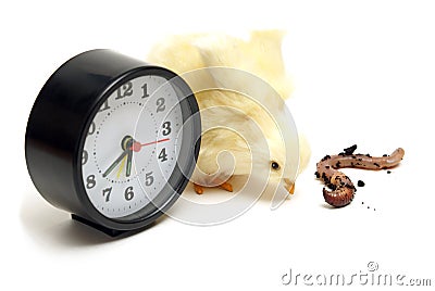 The Early Bird Gets the Worm Stock Photo