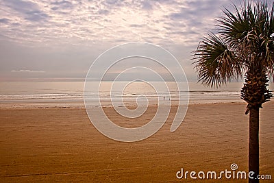 Early Morning on Atlantic Beach Stock Photo