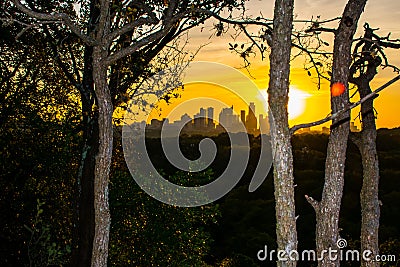 Early Morning Austin Skyline Nature Trees Greenbelt Stock Photo