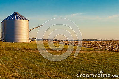 Early morning grain silo at harvest time Stock Photo