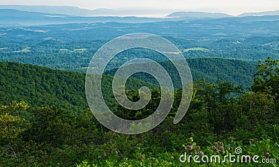 Early Morning Hazy View of Shenandoah Valley Stock Photo