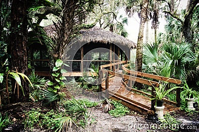 Early morning inside subtropical forest with thatched hut Stock Photo