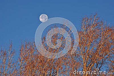 Early Morning Moon Stock Photo