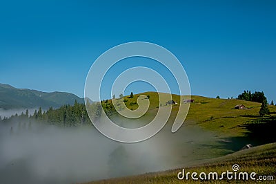 Early morning in the mountains in summer. View of the green hills and spruce in the fog Stock Photo