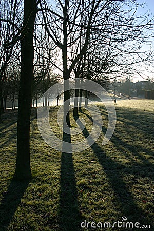 Early Morning Parkland Stock Photo