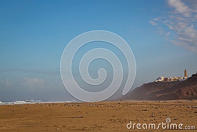 Early in the morning after rain on beach of Sidi Ifni Stock Photo