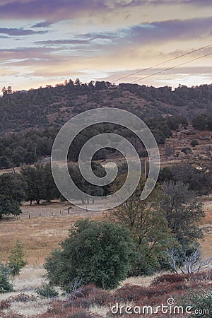 Early morning sunlight on hills in autumn, grove of live oaks foreground, cool color beautiful sunrise sky of lavender, yellow and Stock Photo