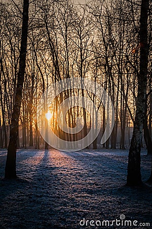An early morning sunrise during winter in a frozen cold and snow Stock Photo