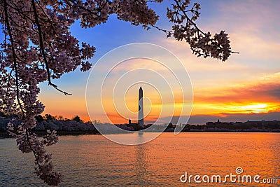 Early Morning at Tidal Basin in Washington DC, during the Cherry Blossom Festival with monument on other side Stock Photo