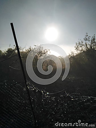 Early morning in the village. The mist and the sun s haze collection. Stock Photo