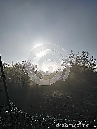 Early morning in the village. The mist and the sun s haze collection. Stock Photo